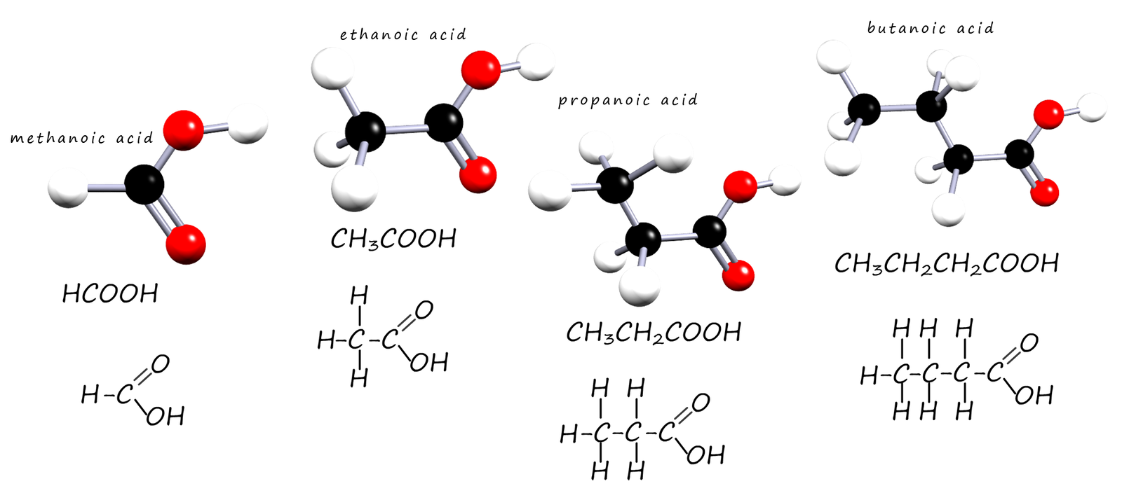 first 4 carboxylic acids